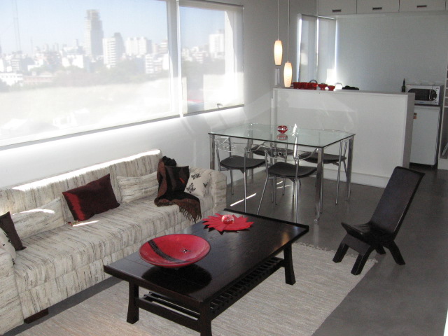 Apartment: 55m<sup>2</sup> in Palermo, Buenos Aires